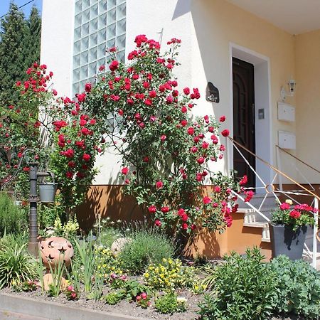 Ferienwohnung Rosemarie Kamp-Bornhofen Exteriér fotografie