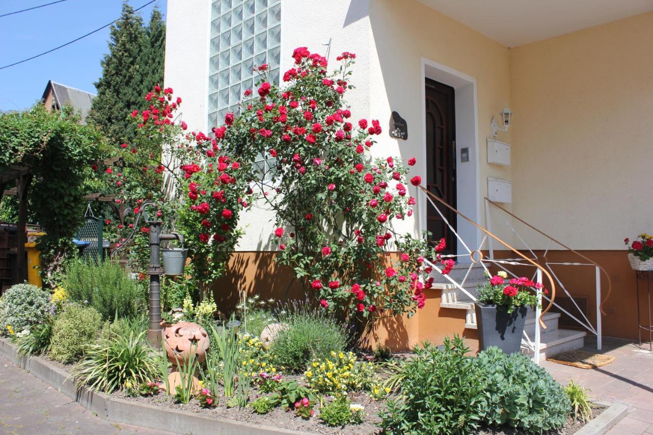 Ferienwohnung Rosemarie Kamp-Bornhofen Exteriér fotografie